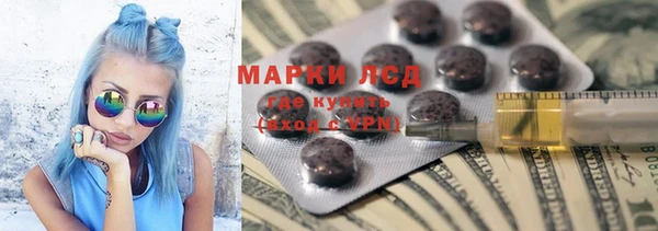прущие грибы Кулебаки