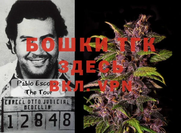 ПСИЛОЦИБИНОВЫЕ ГРИБЫ Куйбышев