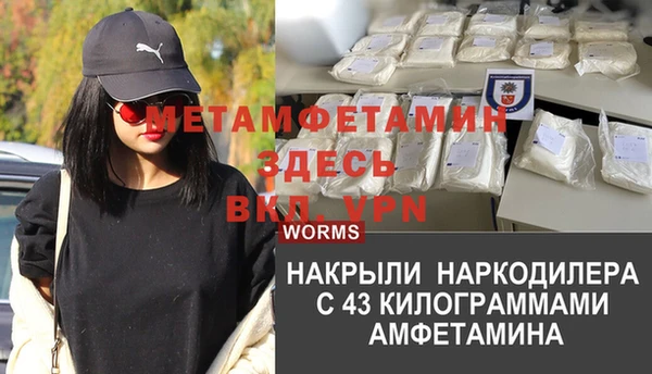 прущие грибы Кулебаки