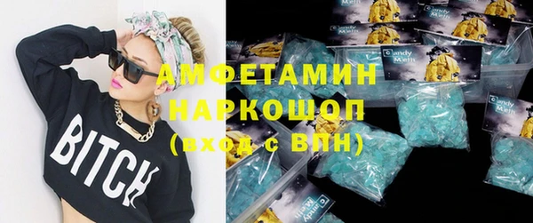 амф Верхний Тагил