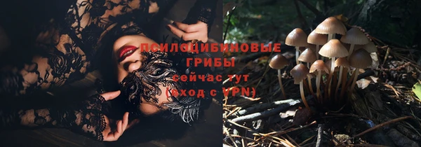 сатива Балашиха