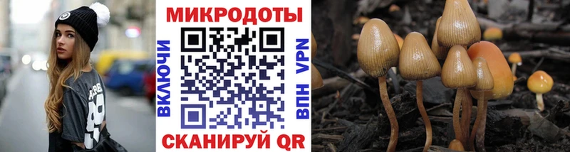 Галлюциногенные грибы Psilocybe  сколько стоит  Вихоревка 