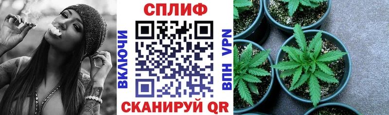 Шишки марихуана планчик Вихоревка